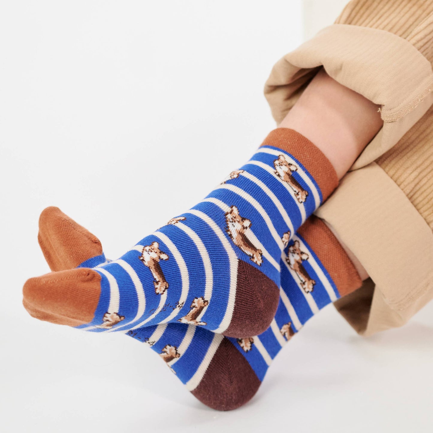 Jungensocken Tiere - Corgi