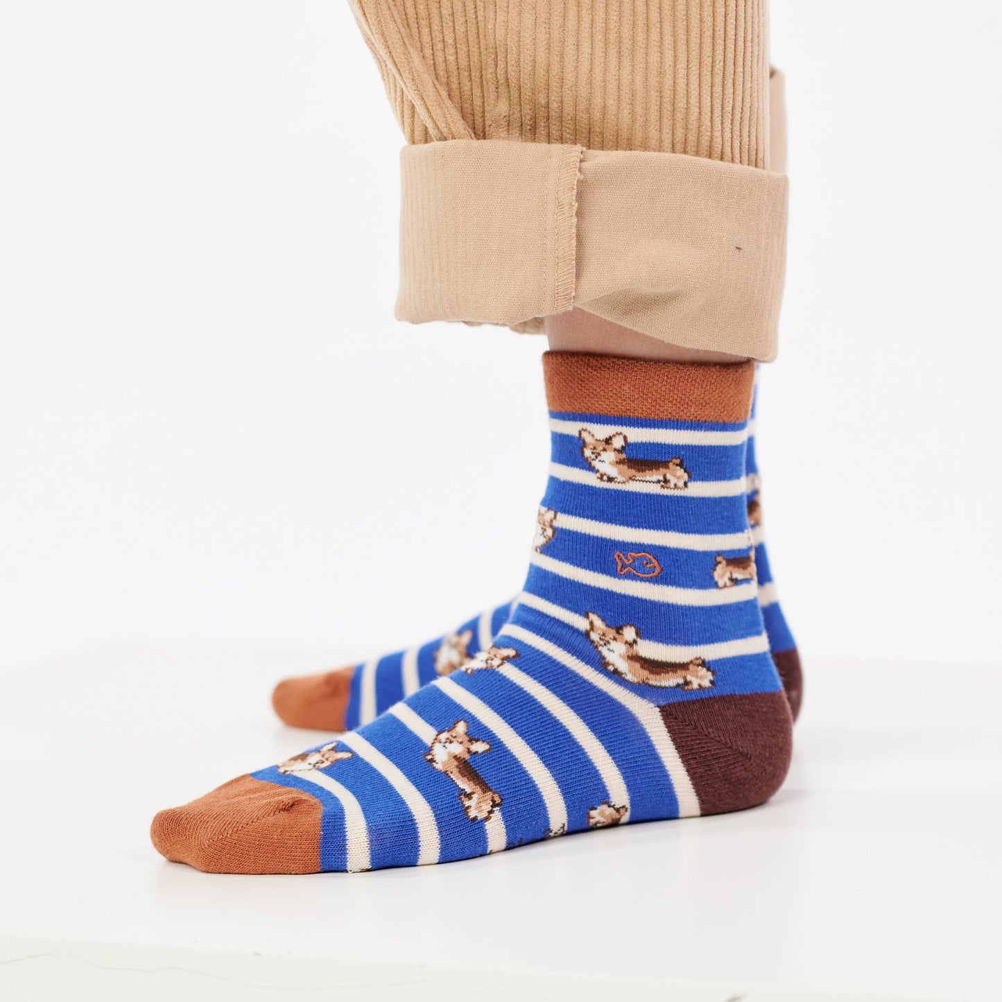 Jungensocken Tiere - Corgi