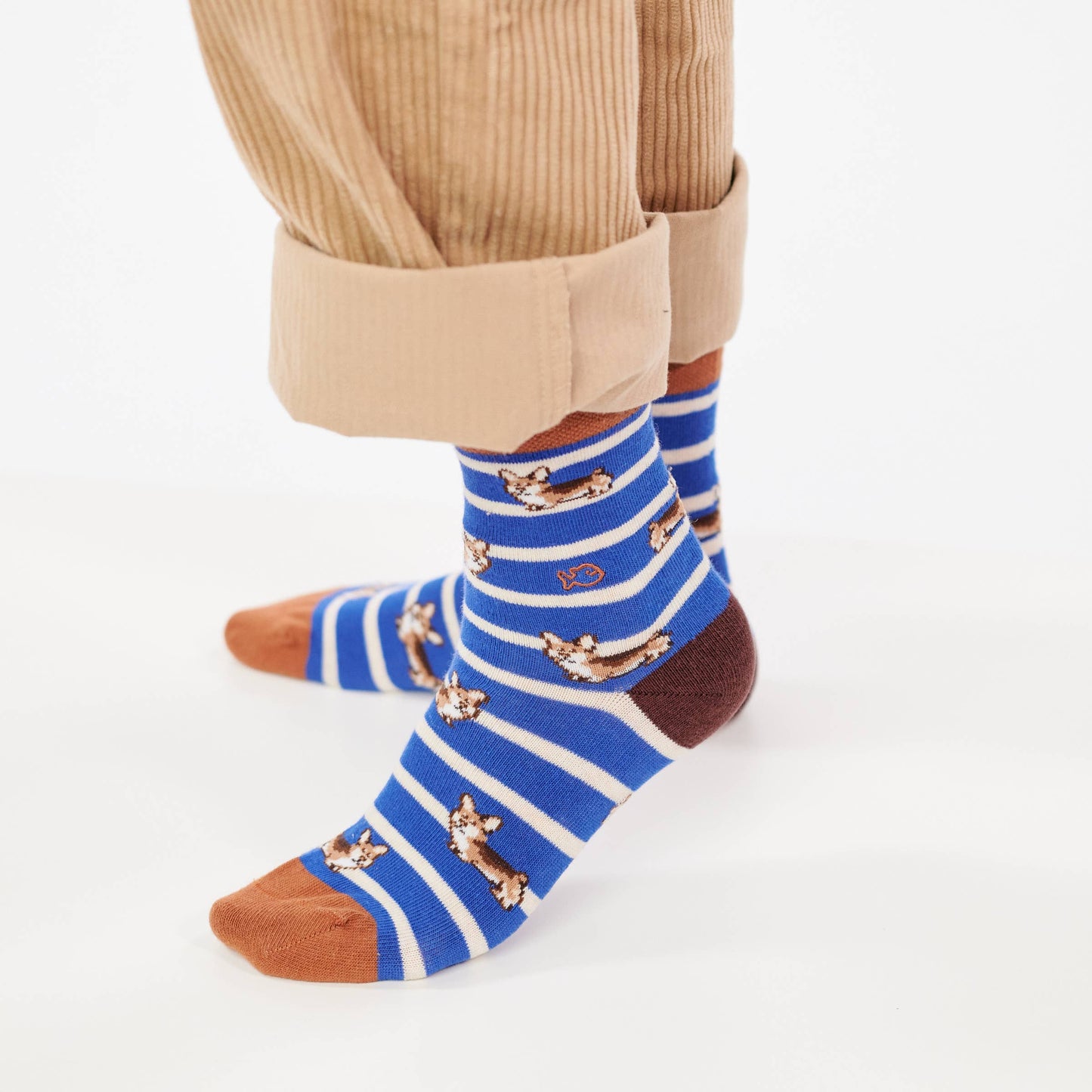 Jungensocken Tiere - Corgi