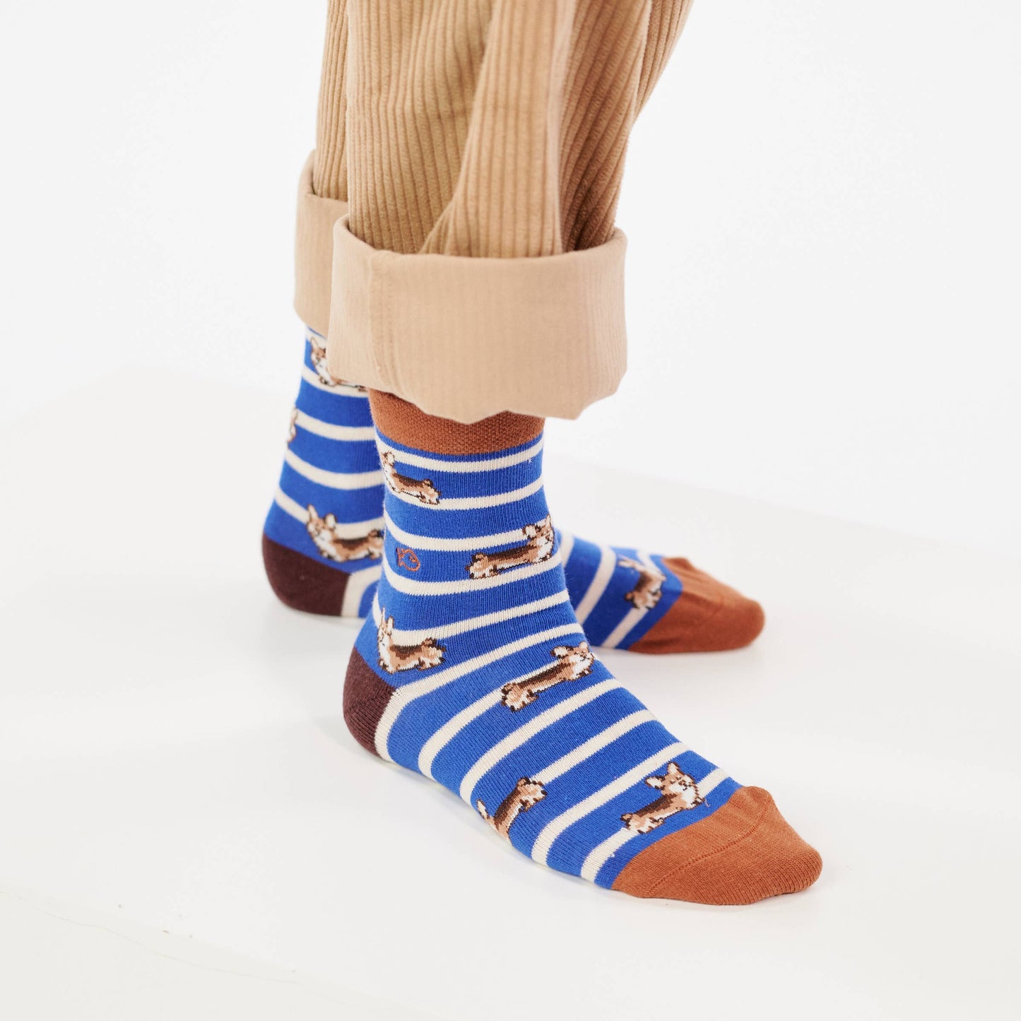 Jungensocken Tiere - Corgi